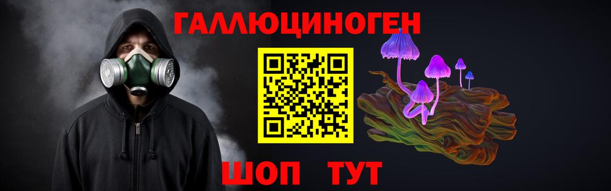 Псилоцибиновые грибы Psilocybine cubensis  Вход с VPN  Беслан 